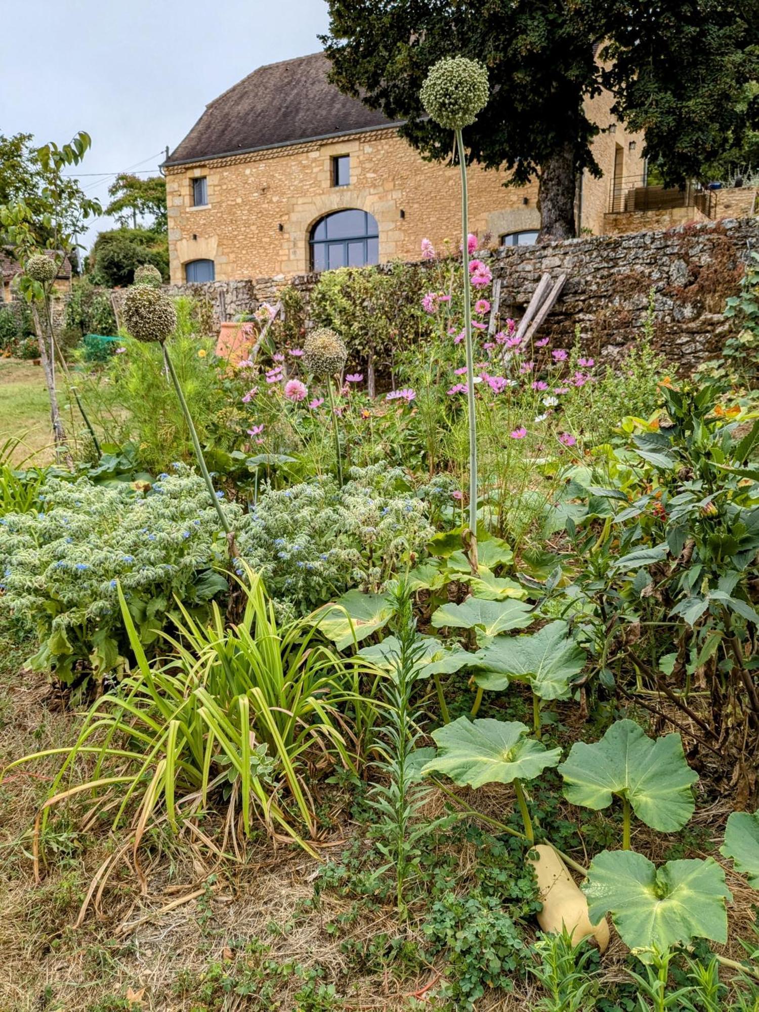 La Grange Symphorine: Charming Guesthouse Between Dordogne and Vézère Valleys Meyrals Exterior photo